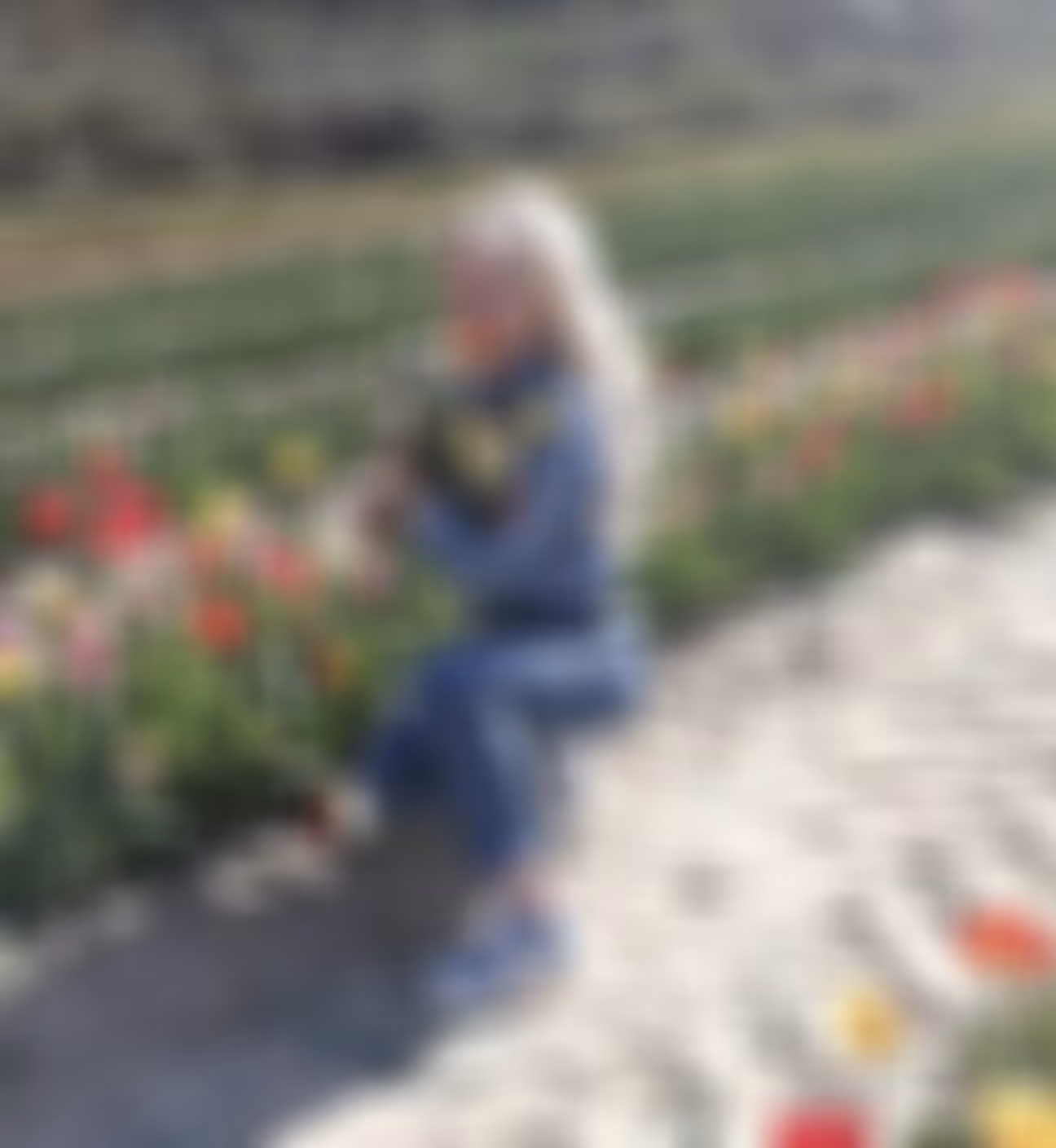 Kristina penpal boxes